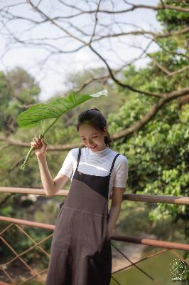 樱花动漫 官方入门网站