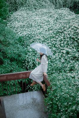 少女的视频完整版在线观看